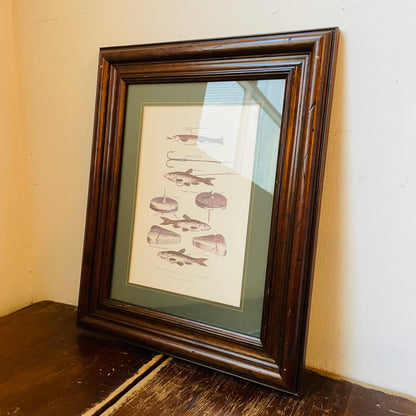 Framed Print of a Fishing Illustration- Vintage