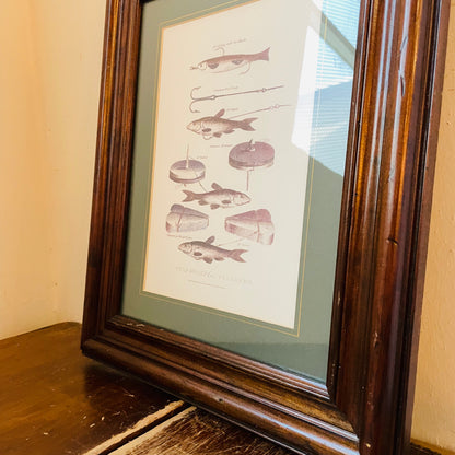 Framed Print of a Fishing Illustration- Vintage