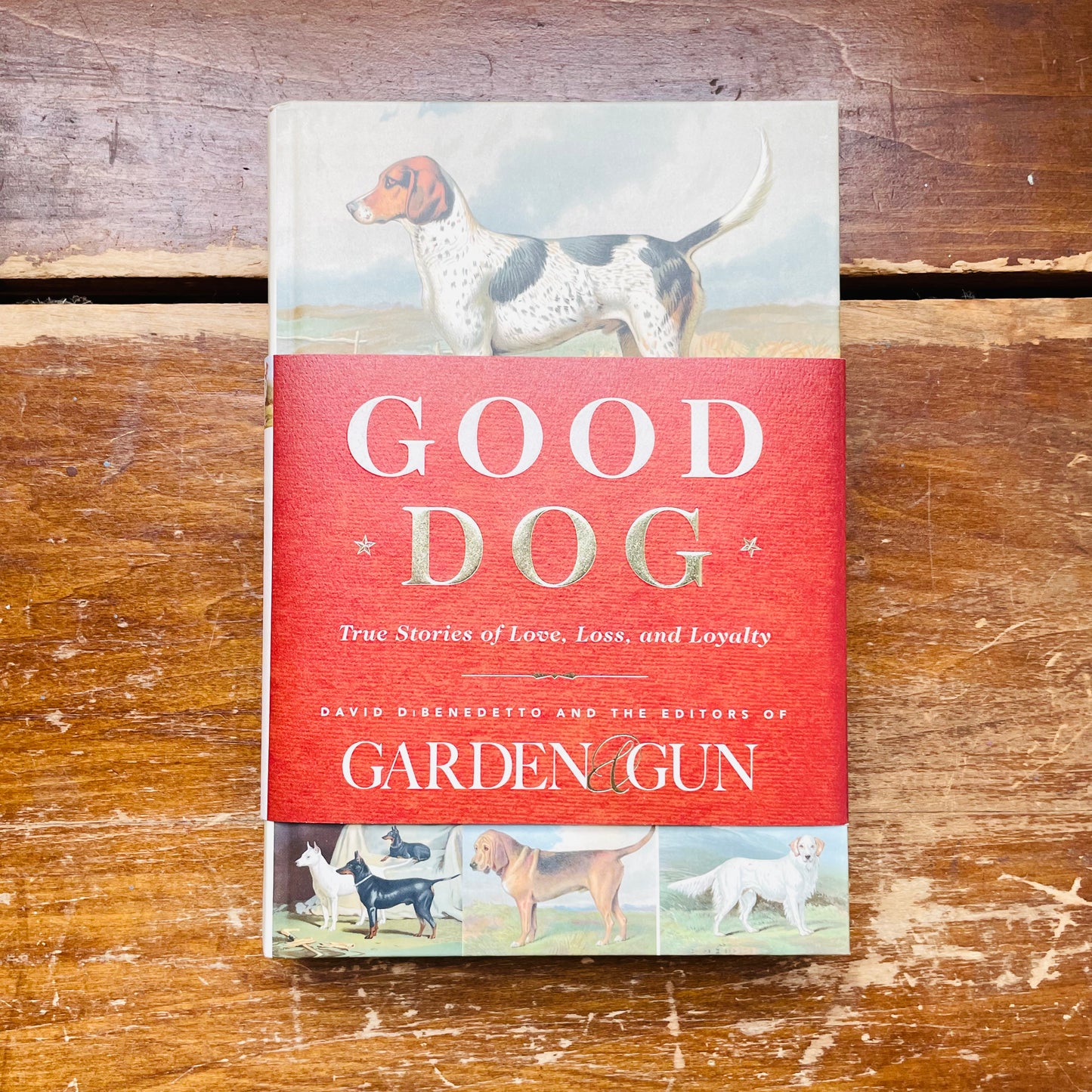 Good Dog: True Stories of Love, Loss, and Loyalty