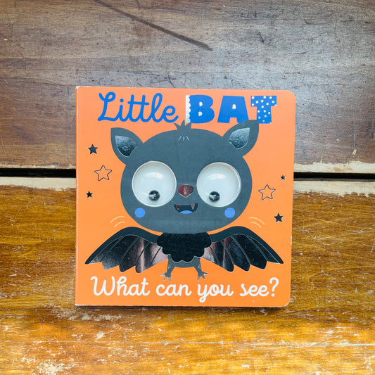 Little Bat What Can You See?