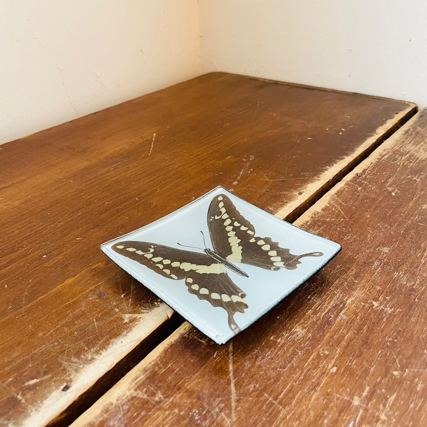 Swallowtail Butterfly Catchall Plate