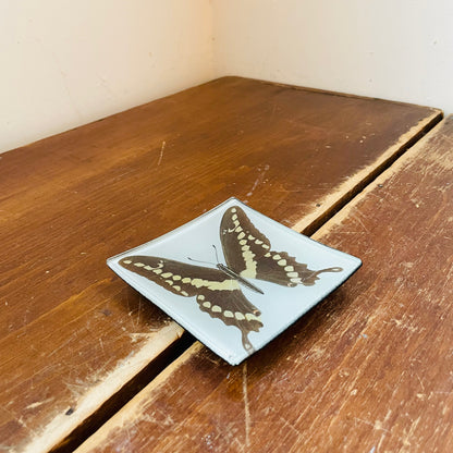 Swallowtail Butterfly Catchall Plate