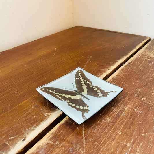 Swallowtail Butterfly Catchall Plate