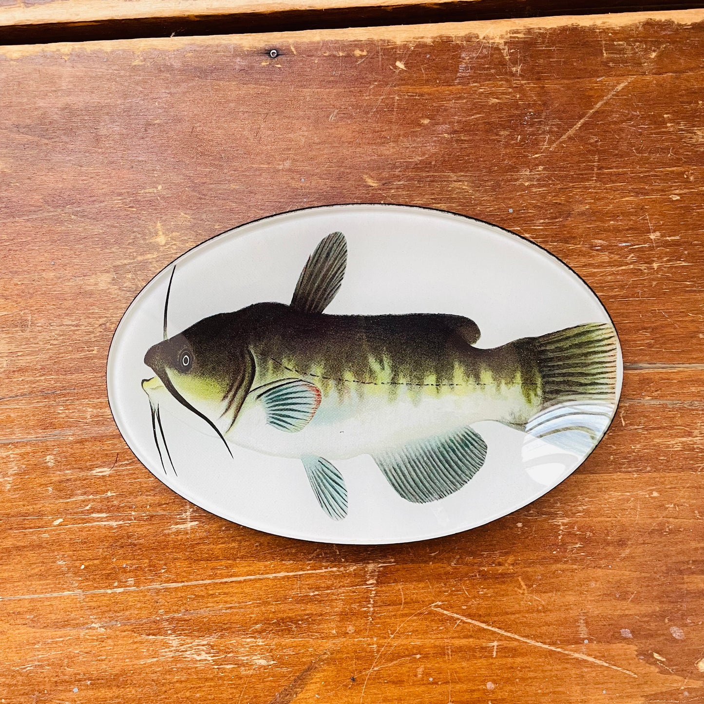 Catfish Catchall Plate