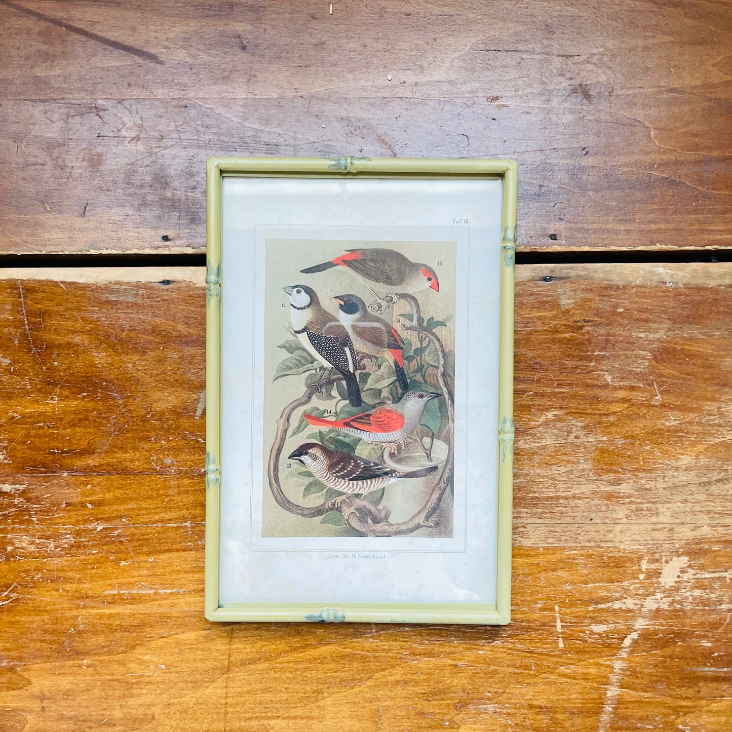 Song Birds Print in Green Metal Bamboo Frame