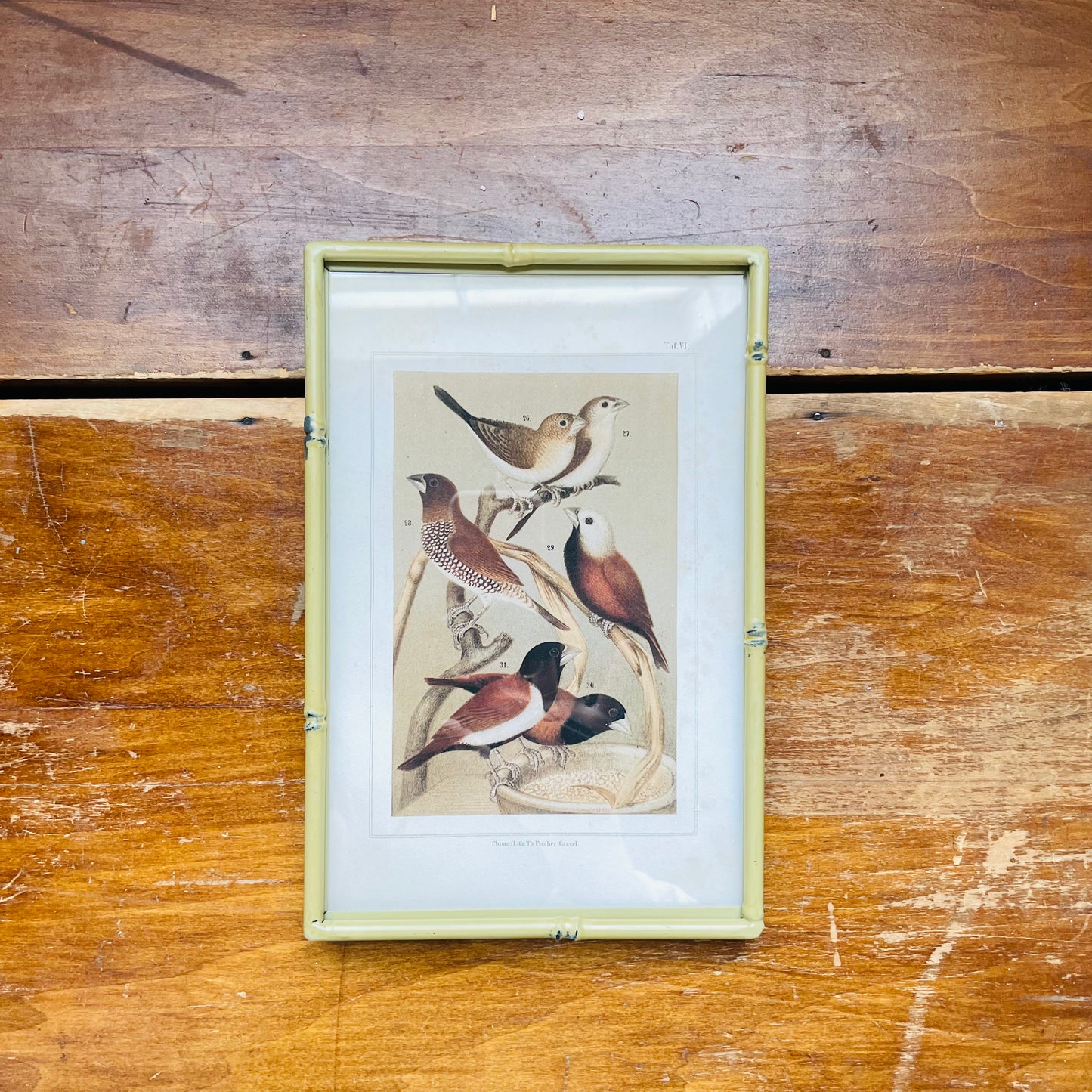 Song Birds Print in Green Metal Bamboo Frame