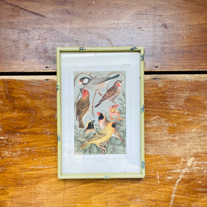 Song Birds Print in Green Metal Bamboo Frame