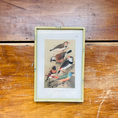 Song Birds Print in Green Metal Bamboo Frame