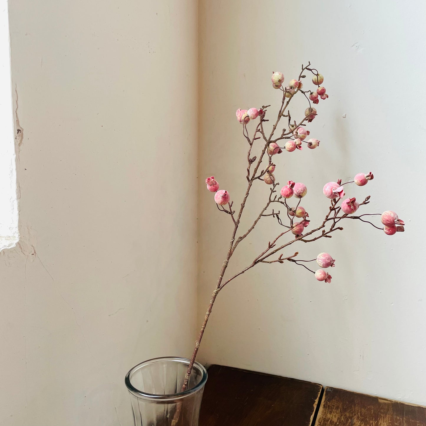 Crabapple Stem