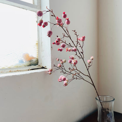 Crabapple Stem