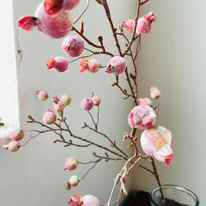 Crabapple Stem