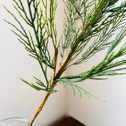 Native Cedar Stem