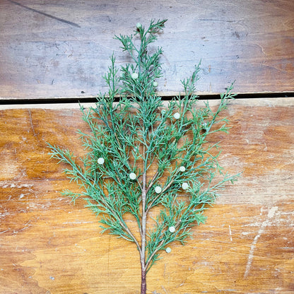 Cedar with Berries Stem