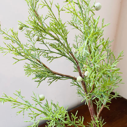 Cedar with Berries Stem