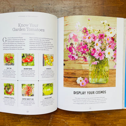 The Southerner's Y'allmanac: A Compendium of Wit & Wisdom for All Seasons