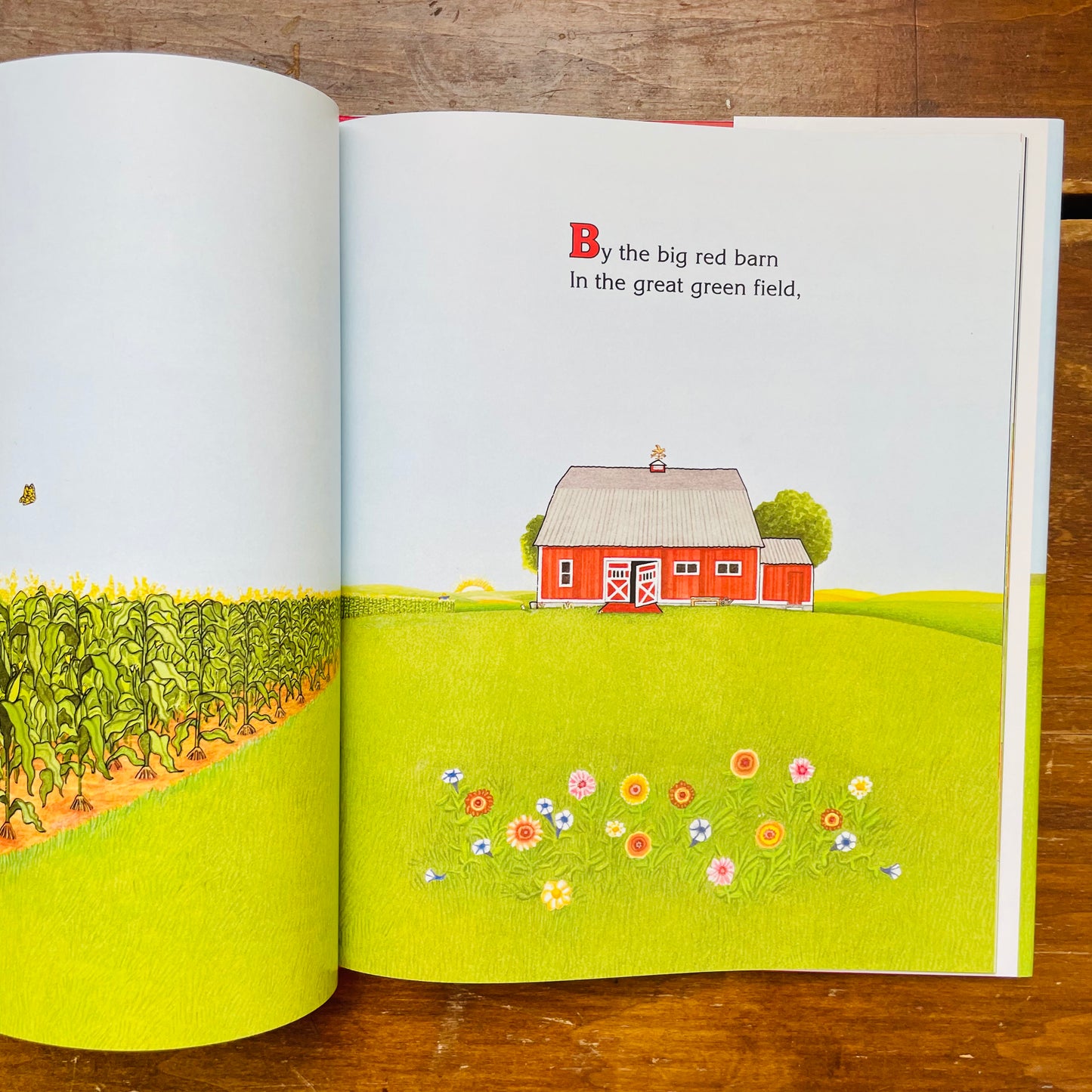 Big Red Barn Book