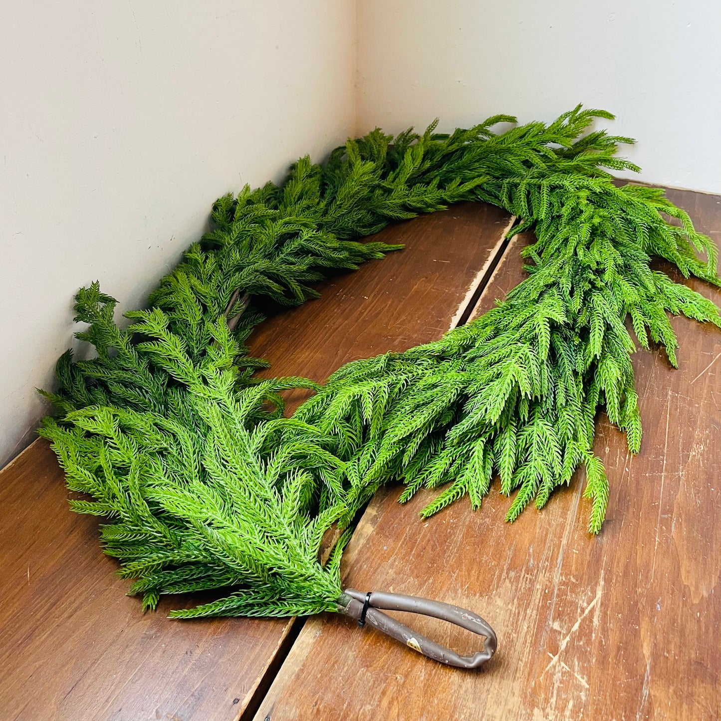 Norfolk Pine Garland