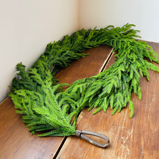 Norfolk Pine Garland