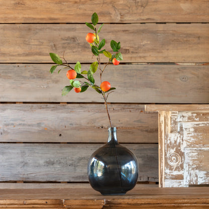 Fruiting Orange Stem