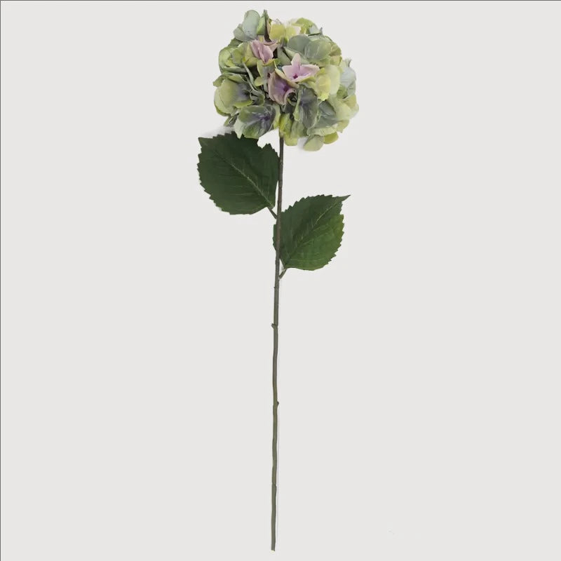 Green Hydrangea Stem