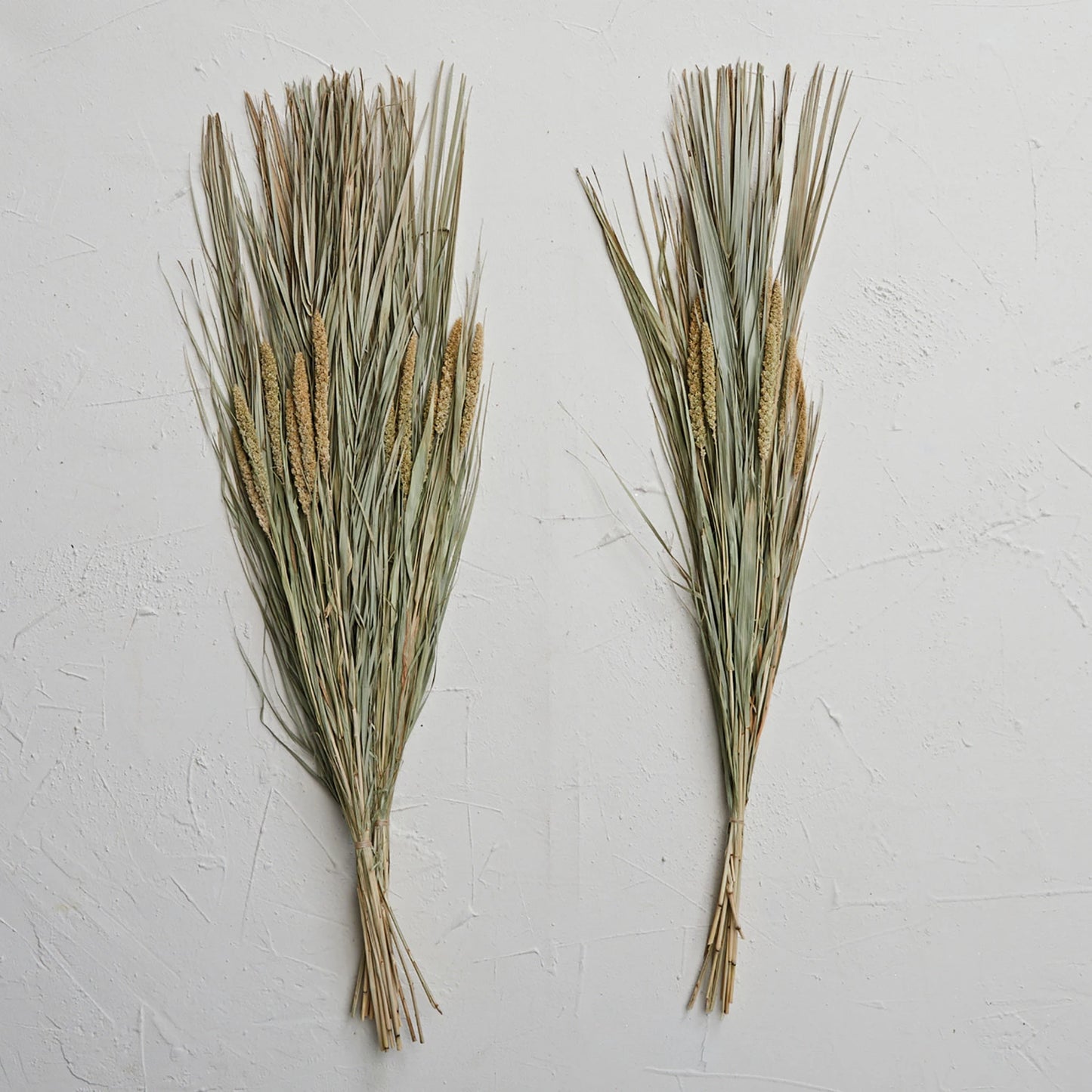 Dried Canary Grass & Date Palm