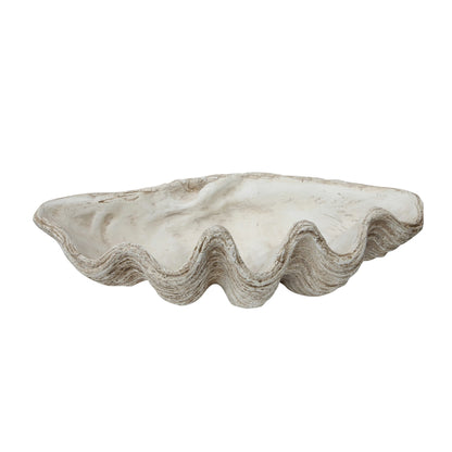 Magnesia Shell Decor