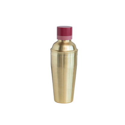 Cocktail Shaker with Pink Top