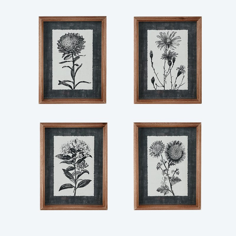 Black & White Framed Floral