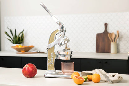 Gold Mexican Citrus Juicer